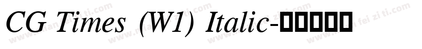 CG Times (W1) Italic字体转换